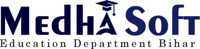 Medhasoft Logo